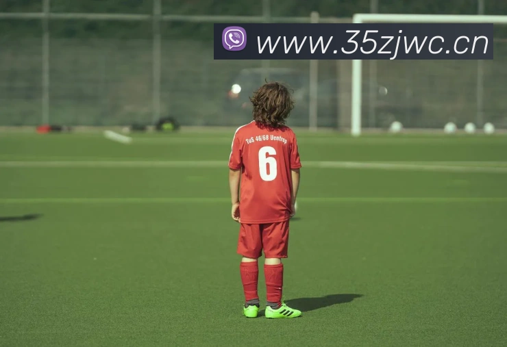 星空网官网首页入口平台生态图